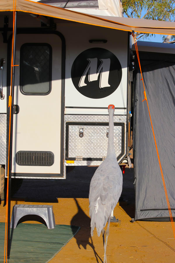 Modcon RV off road hybrid camper trailers C3 with bird